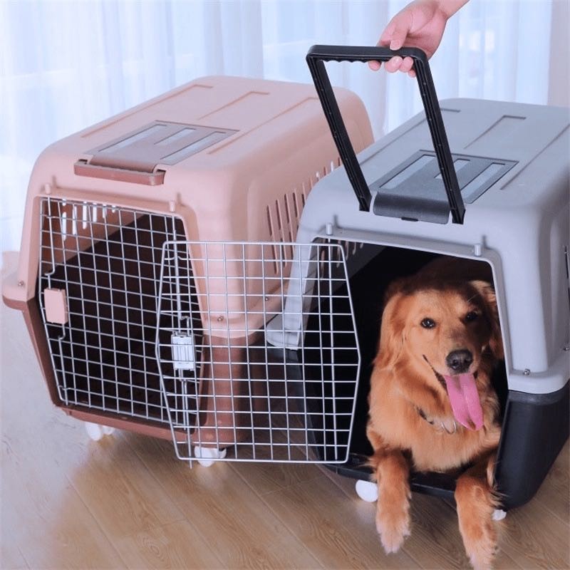 宠物航空托运