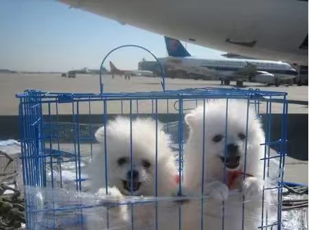 沈阳航空物流货场