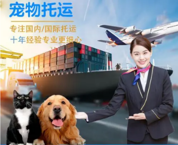 快递上门取件